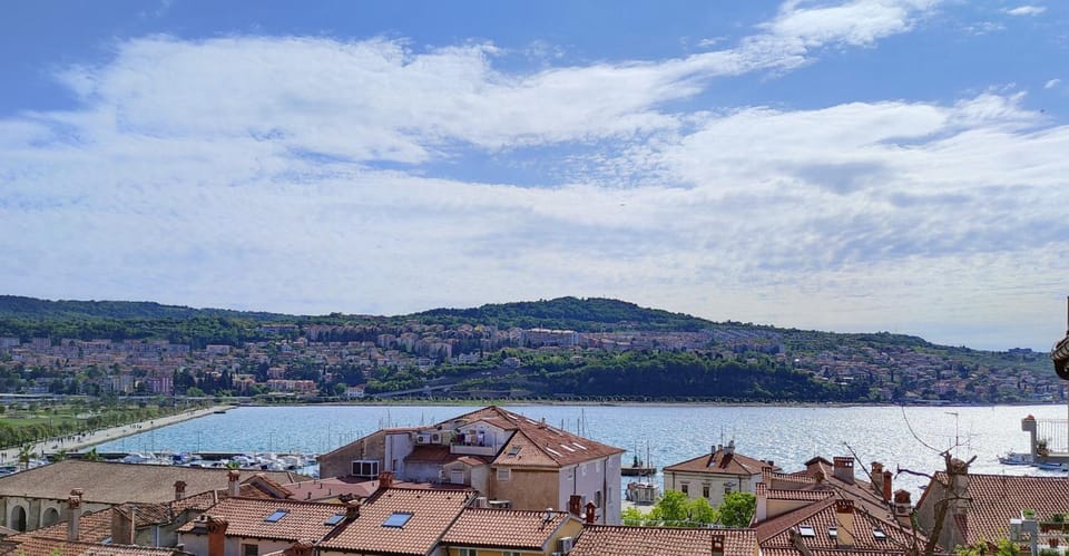 Maestral Apartment in Slovenia