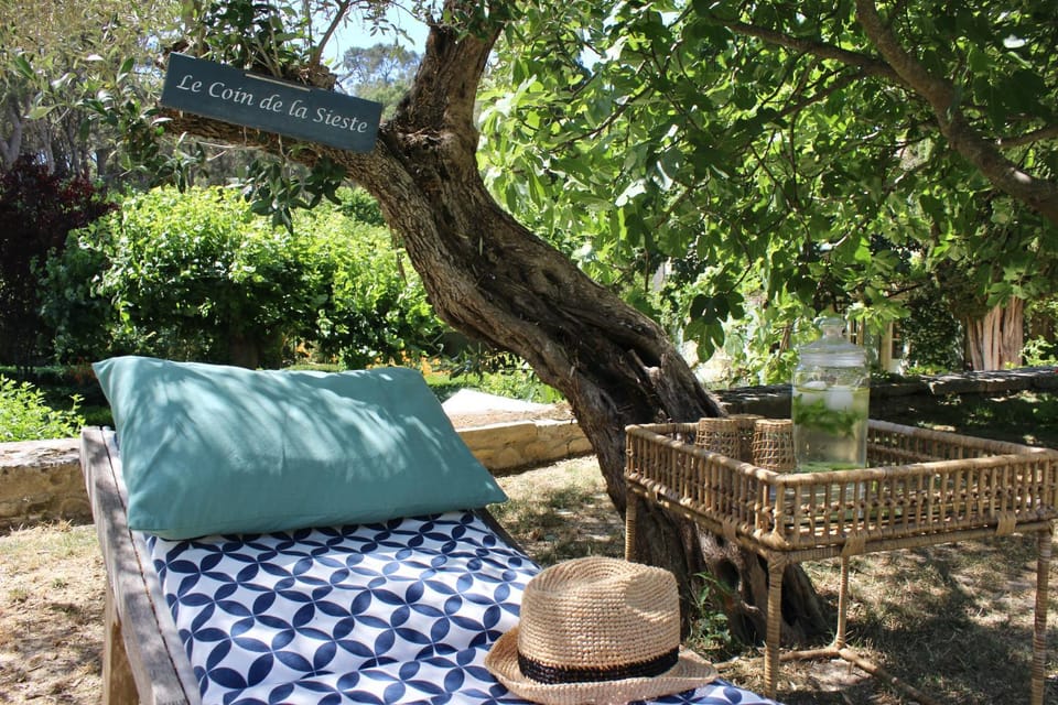 Mas de Rique Bed and Breakfast in Tarascon