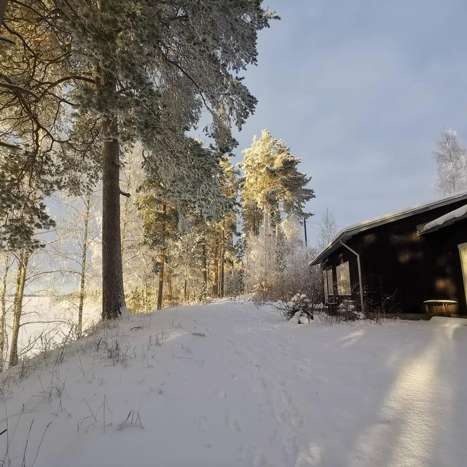 Property building, Winter
