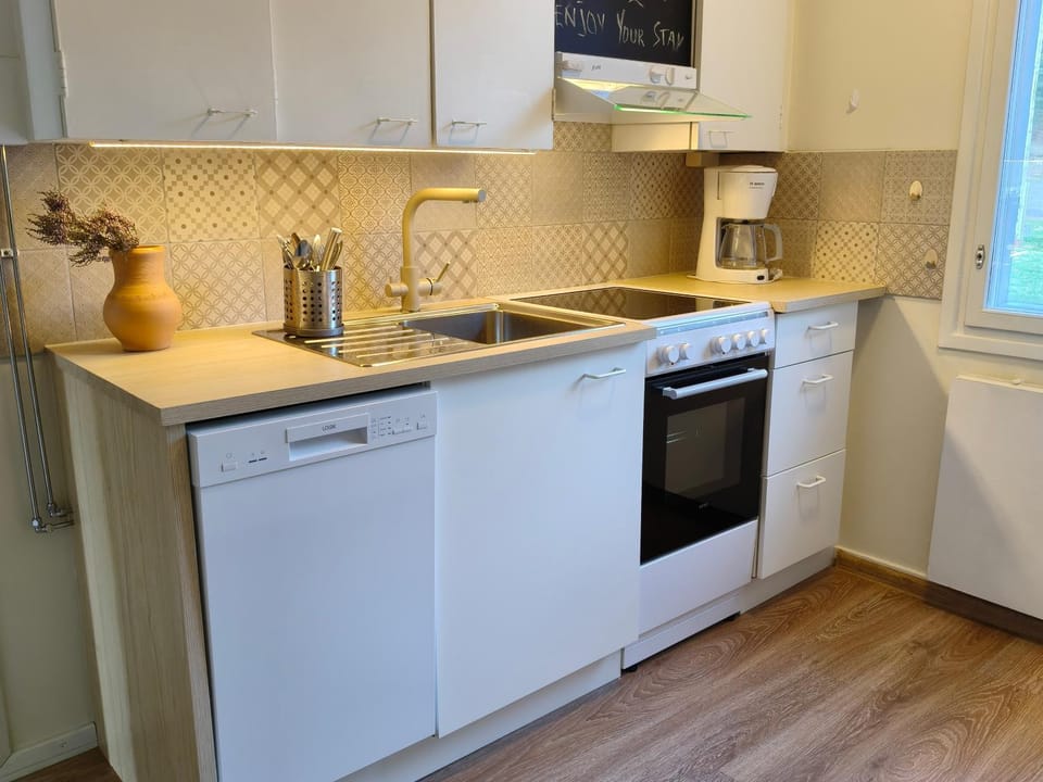 Kitchen or kitchenette, dishwasher, oven, stove