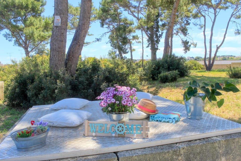 Activities, BBQ facilities, Garden, Decorative detail