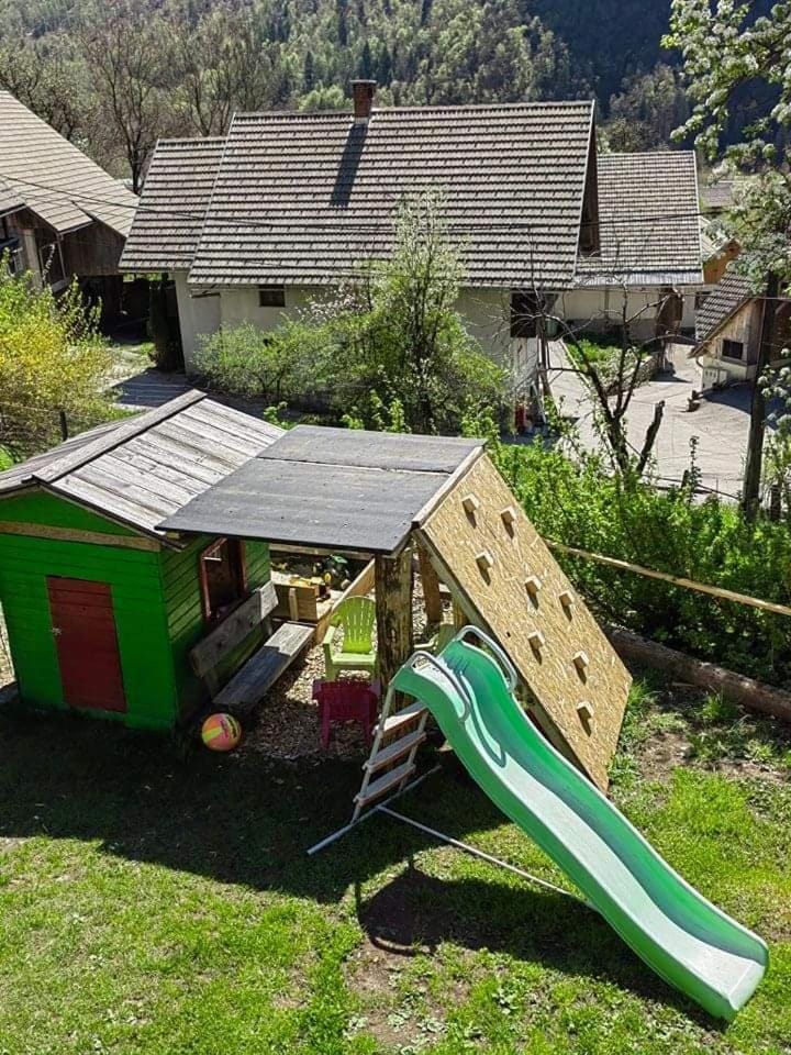 Day, Natural landscape, Children play ground, Garden, Garden view