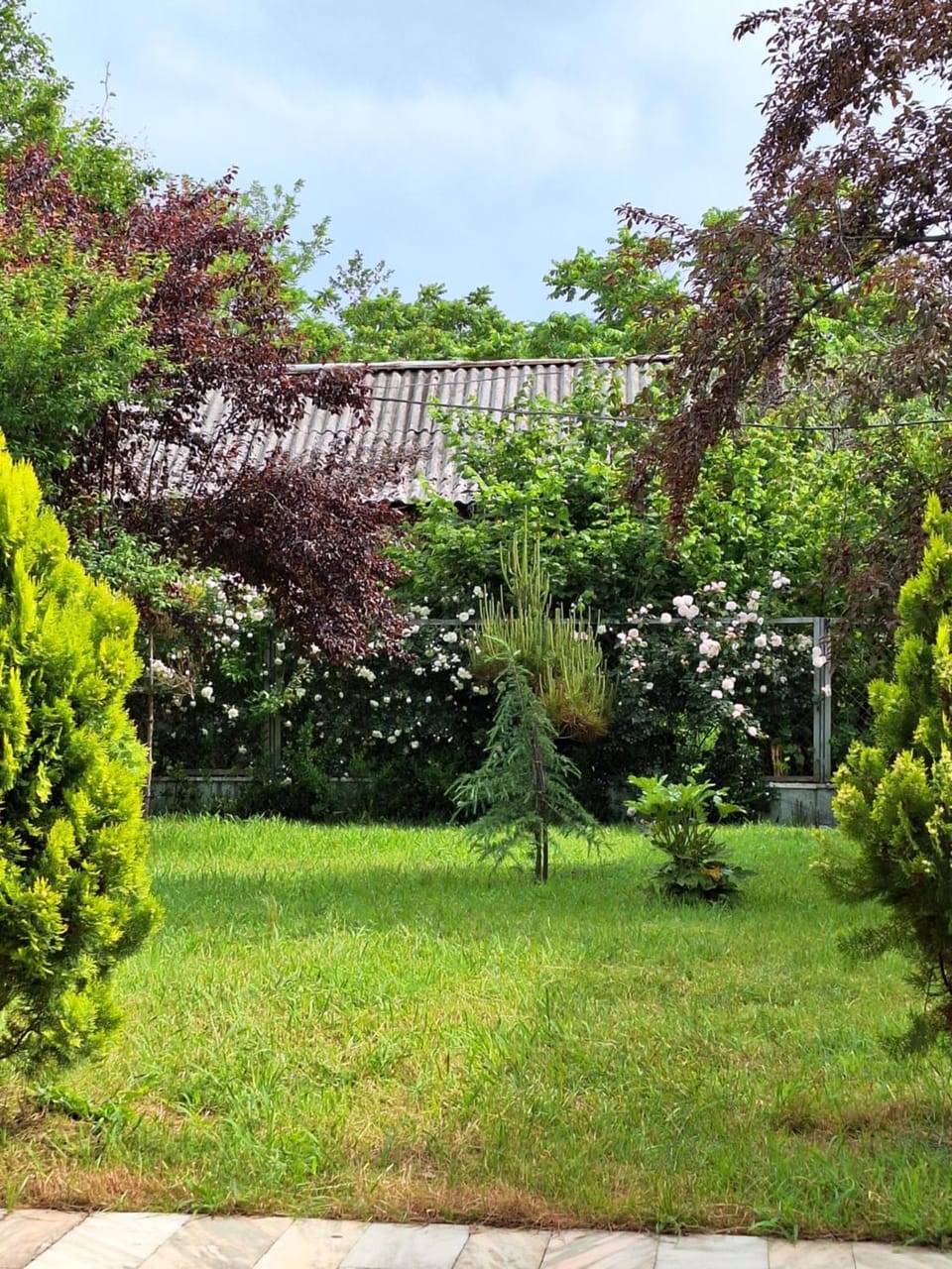Sweet Home Near Black Sea Bed and Breakfast in Adjara, Georgia
