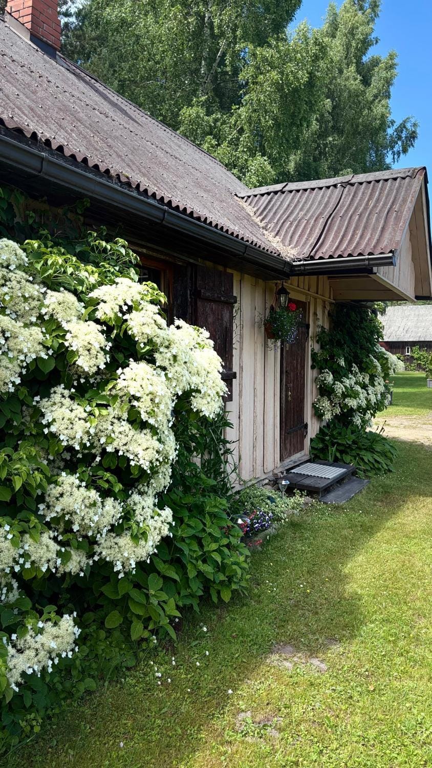 Vējavas House in Estonia