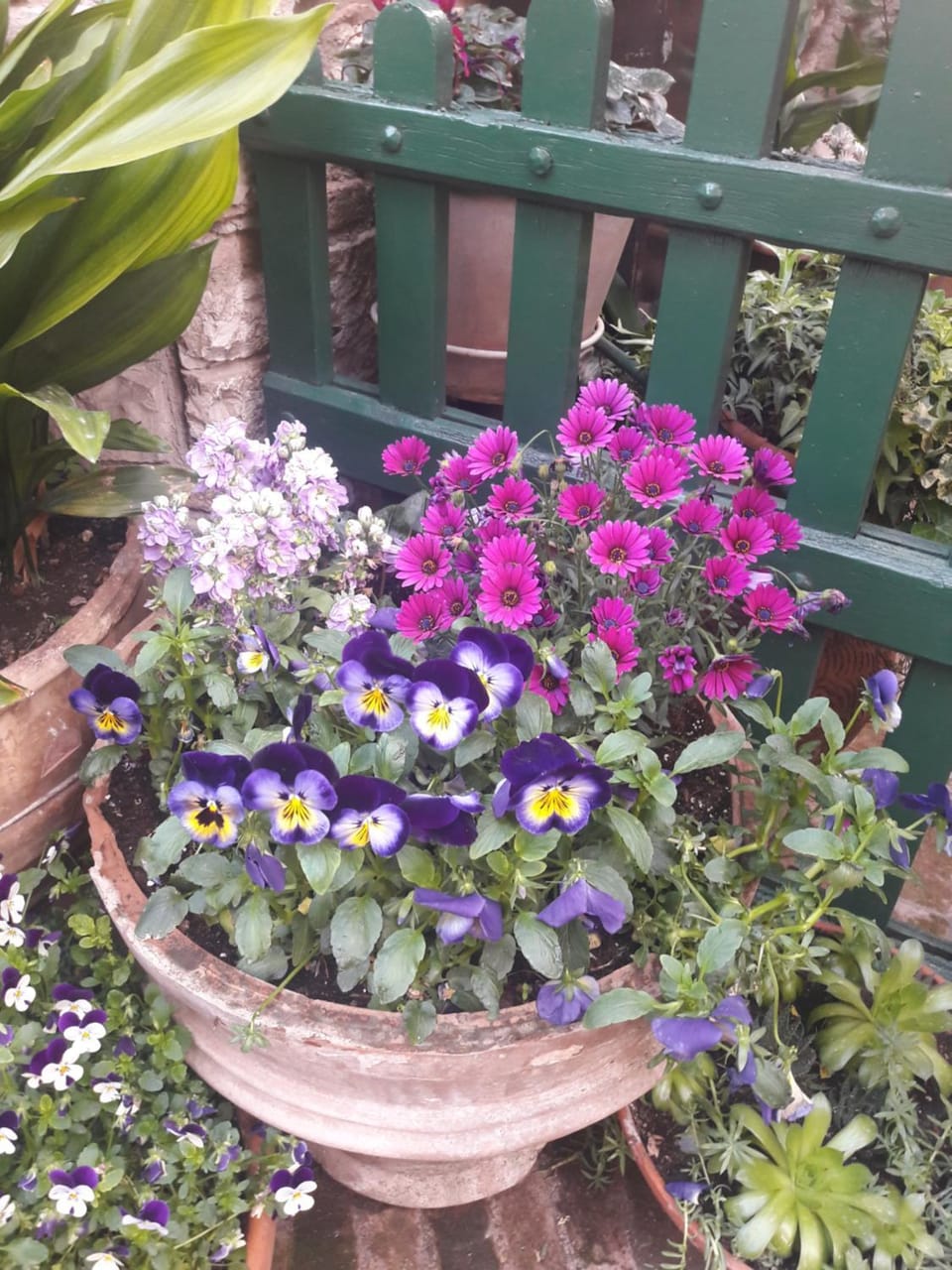 La Viola di Assisi Bed and Breakfast in Assisi