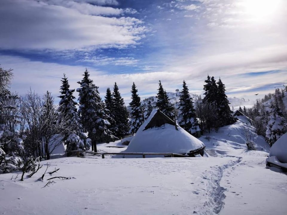Chalet Resa - Velika planina Chalet in Slovenia