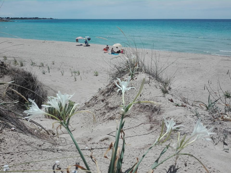 Masseria Giustiniani Farm Stay in Province of Taranto