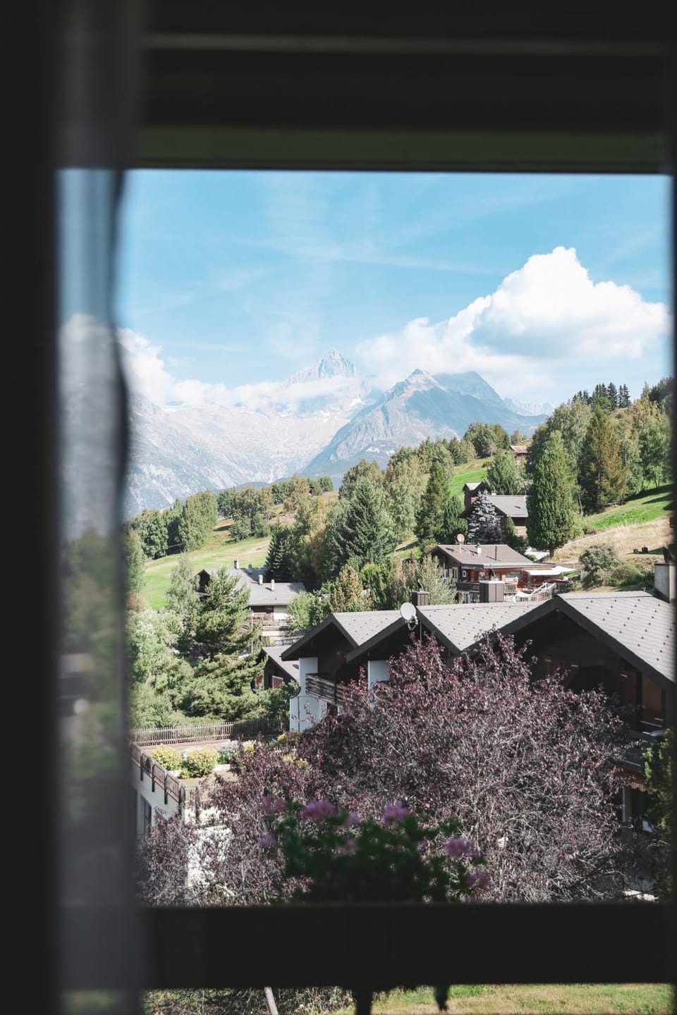 Mountain view