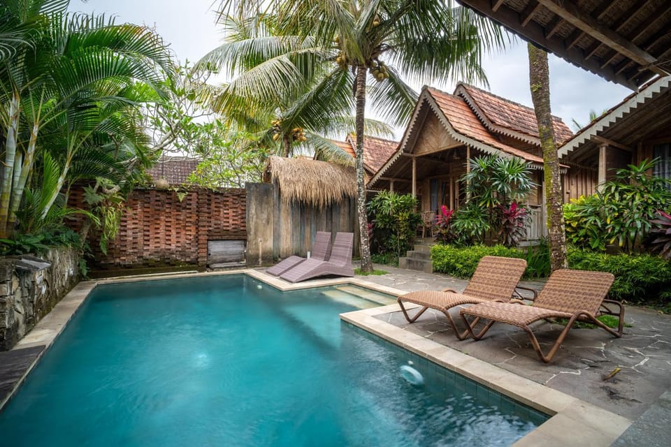 Property building, Pool view