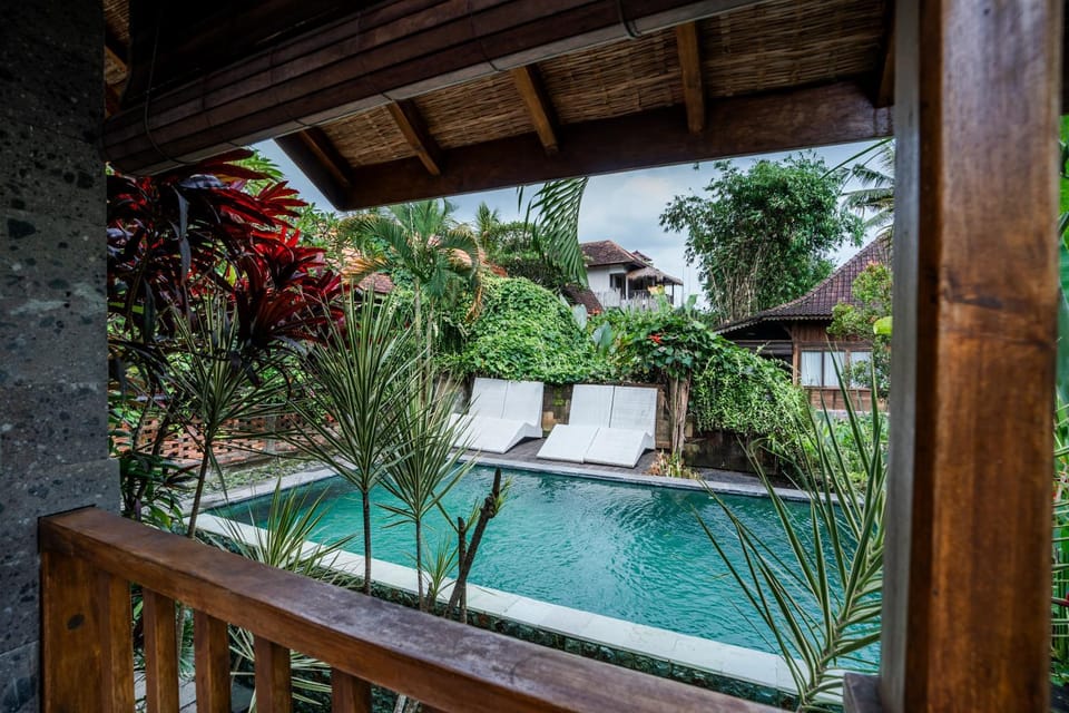 Garden view, Pool view, Swimming pool, sunbed