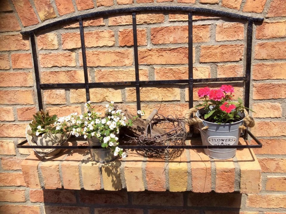 Spring, Day, Garden, Other, Other