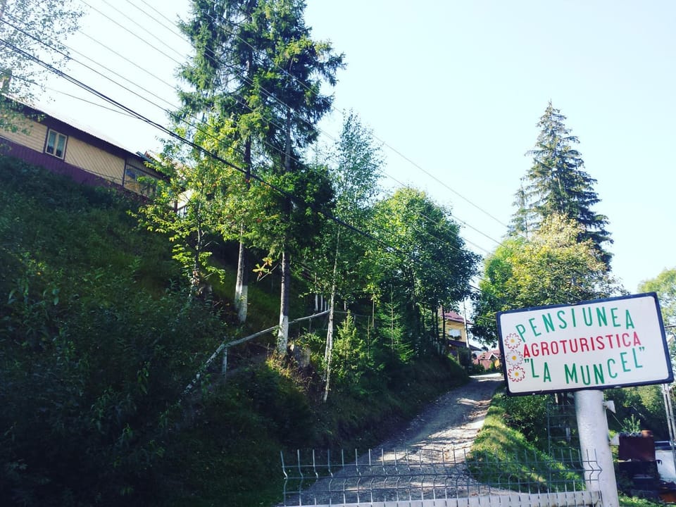 Mountain view, River view, Street view