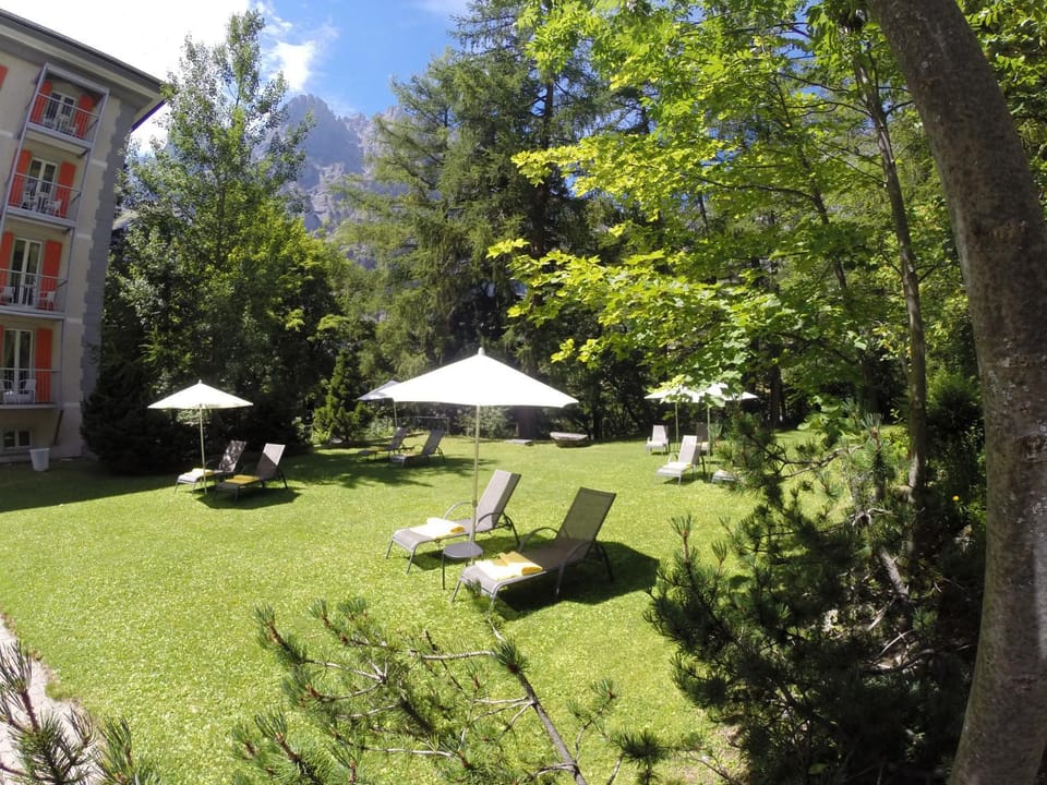 Garden, Garden view, Garden view