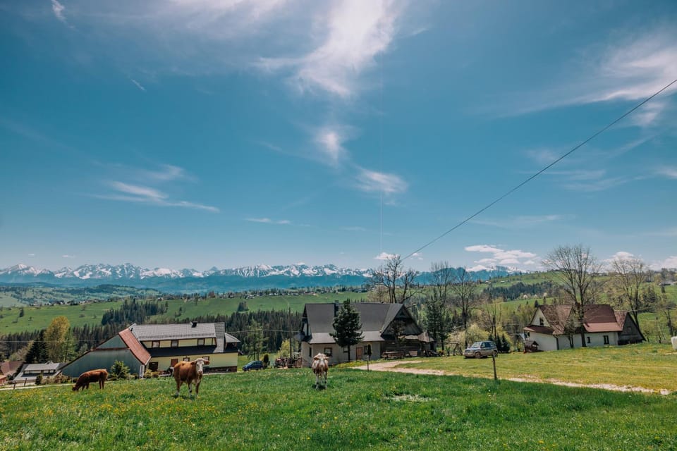 View (from property/room), Mountain view