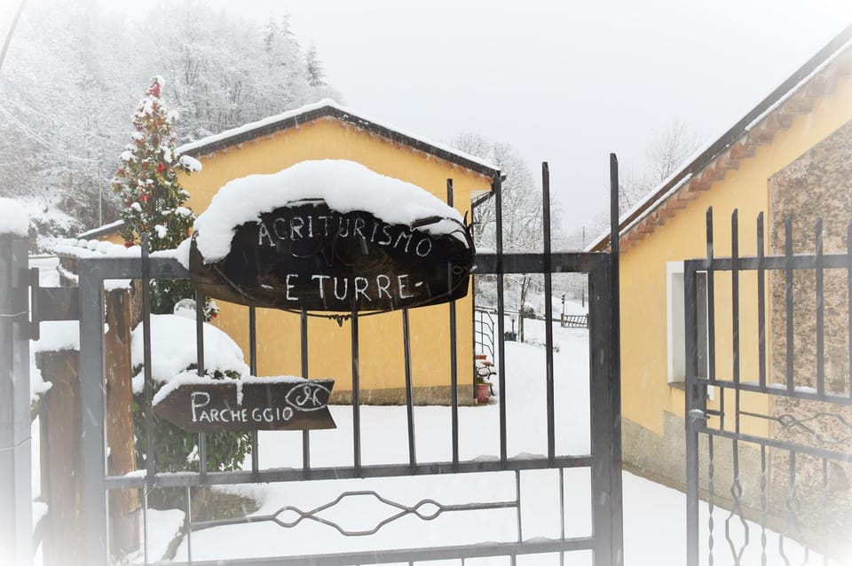 Winter, Other, Inner courtyard view