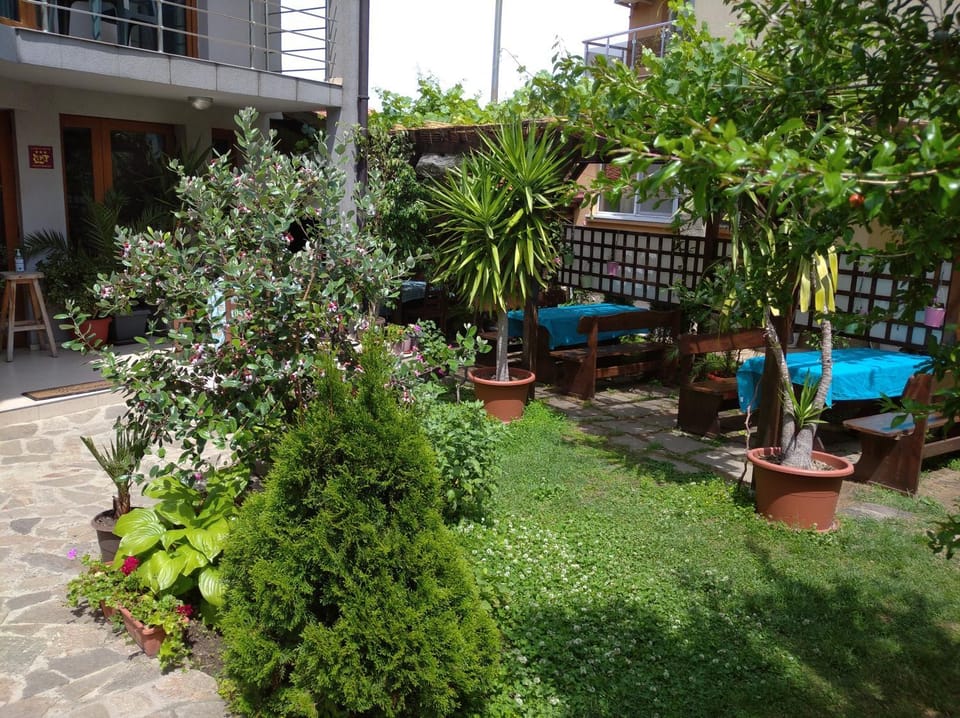 Patio, Garden, Garden view