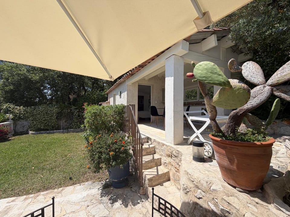 Patio, Day, Garden