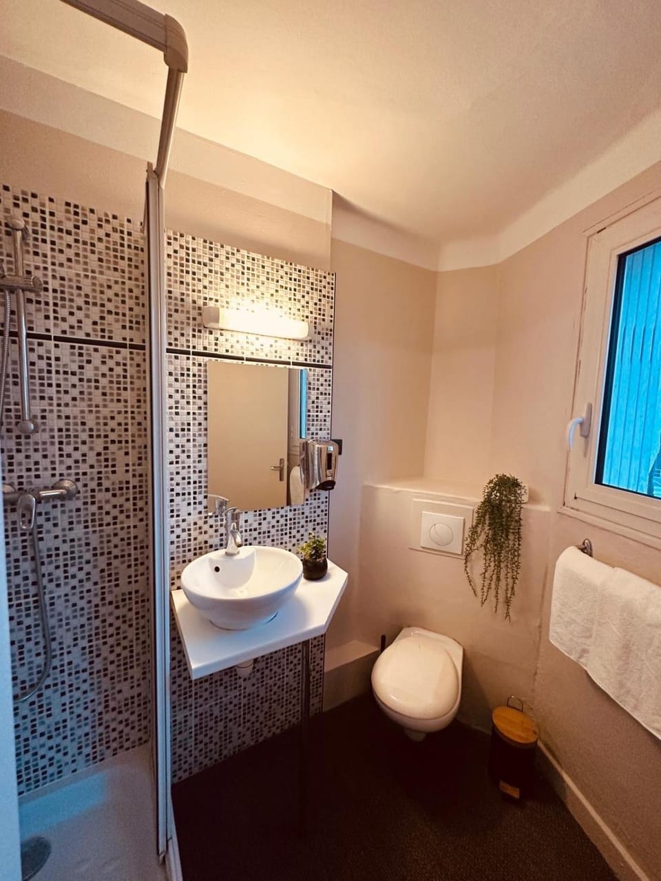 Toilet, Bathroom