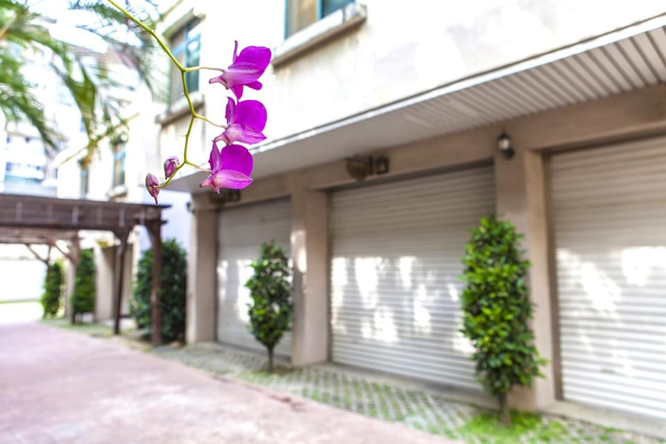 Property building, Facade/entrance, On site