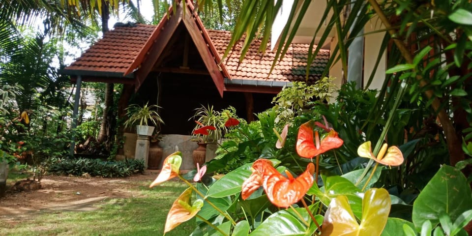 Wild View Stay Bed and Breakfast in Sri Lanka
