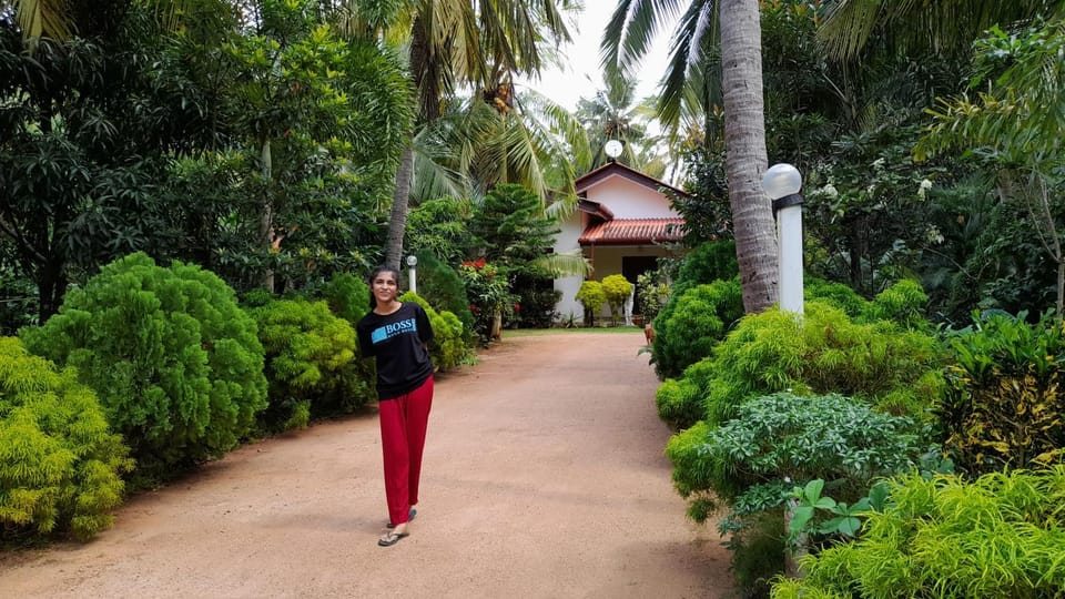 Wild View Stay Bed and Breakfast in Sri Lanka