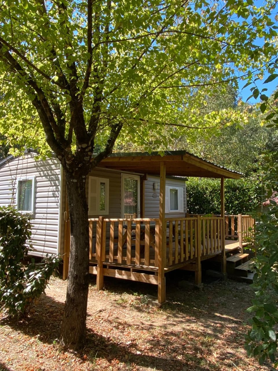 Patio, Spring, Garden, Balcony/Terrace, Garden view