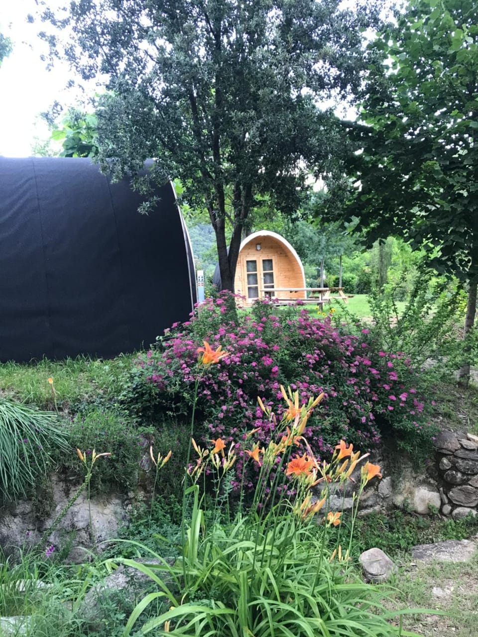 Spring, Garden, Garden view