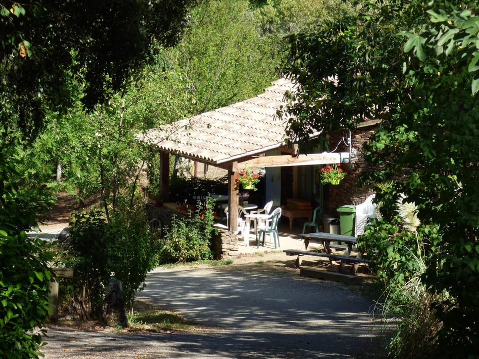 Supermarket/grocery shop