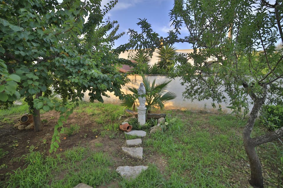 Garden, Garden view