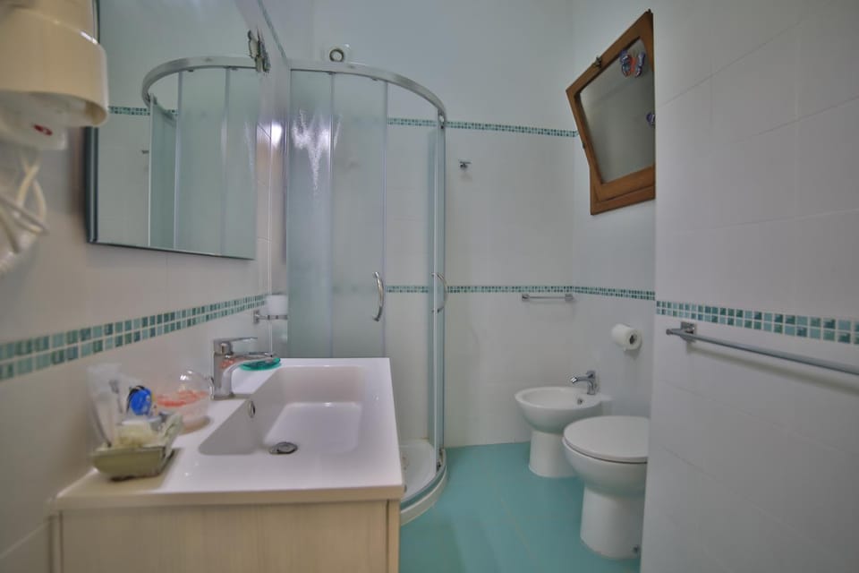 Shower, Toilet, Bathroom, bidet