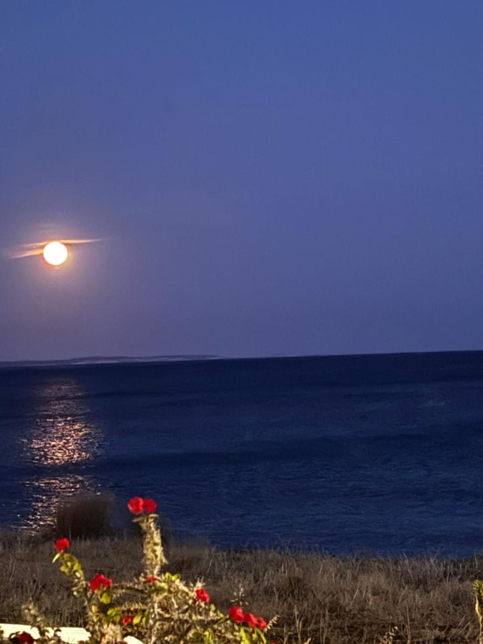 Blue Sea Villa & Apartments Country House in Lasithi