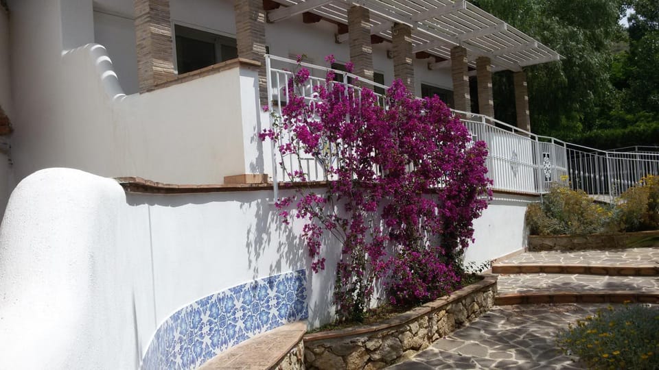 Property building, Patio, Patio, Spring, Day, Garden, Garden, Balcony/Terrace, Balcony/Terrace, Living room, Garden view