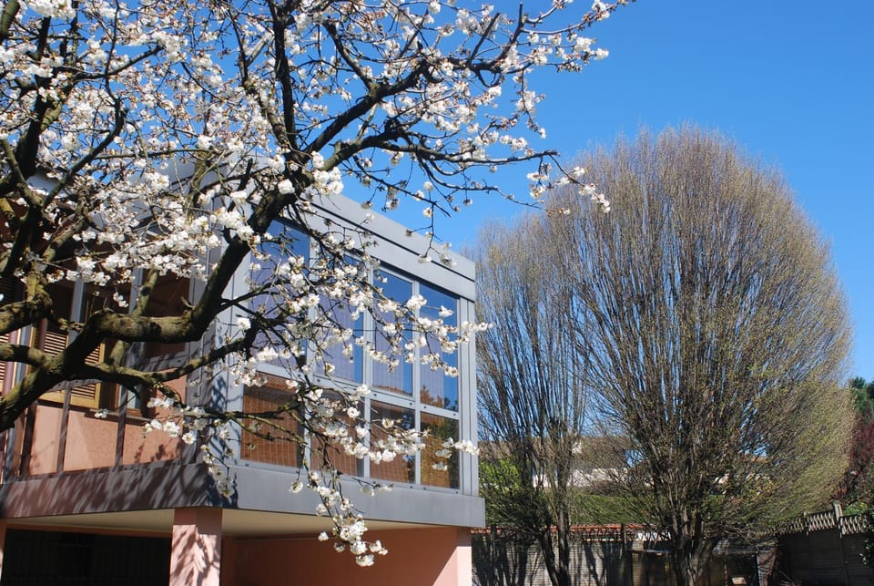 Spring, Living room, Garden view