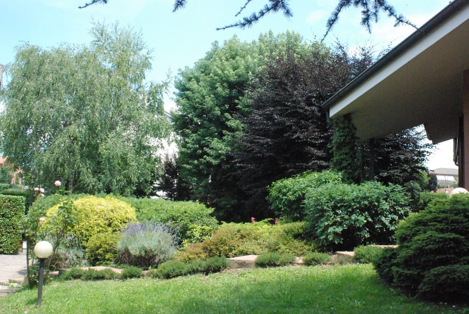 Garden, Garden view