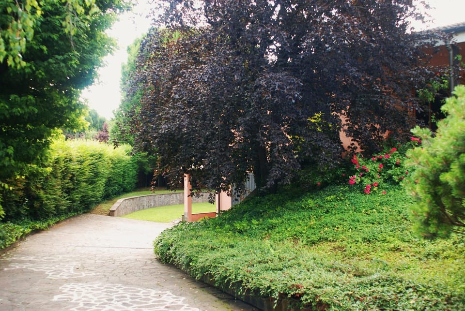 Facade/entrance, Garden