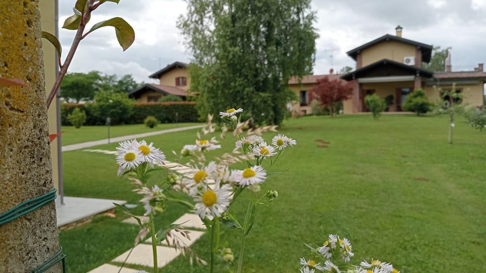 Agriturismo L'Antico Sapore Farm Stay in Piedmont