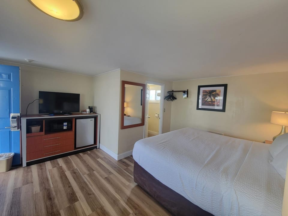Bed, TV and multimedia, Coffee/tea facilities, Photo of the whole room, Bedroom, hair dryier, microwave