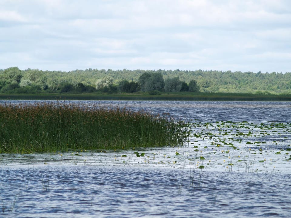Lake view