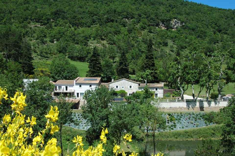 Les Jardins de Soulane B&B - Adults only Bed and Breakfast in Occitanie