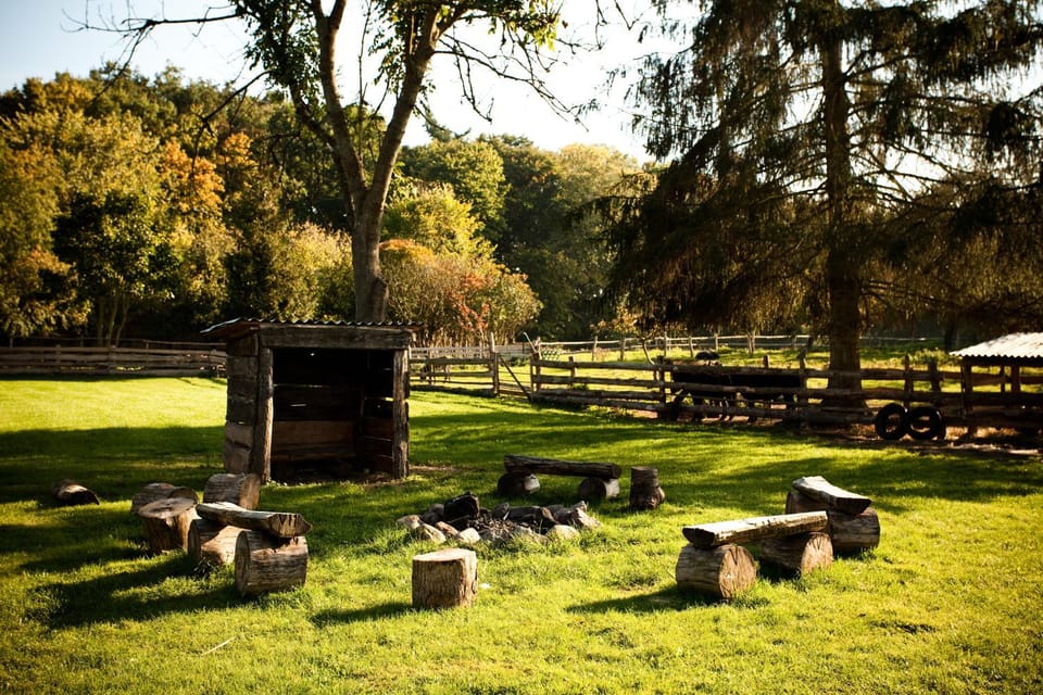 Day, Summer, Seating area, On site, Garden view, Area and facilities, Area and facilities