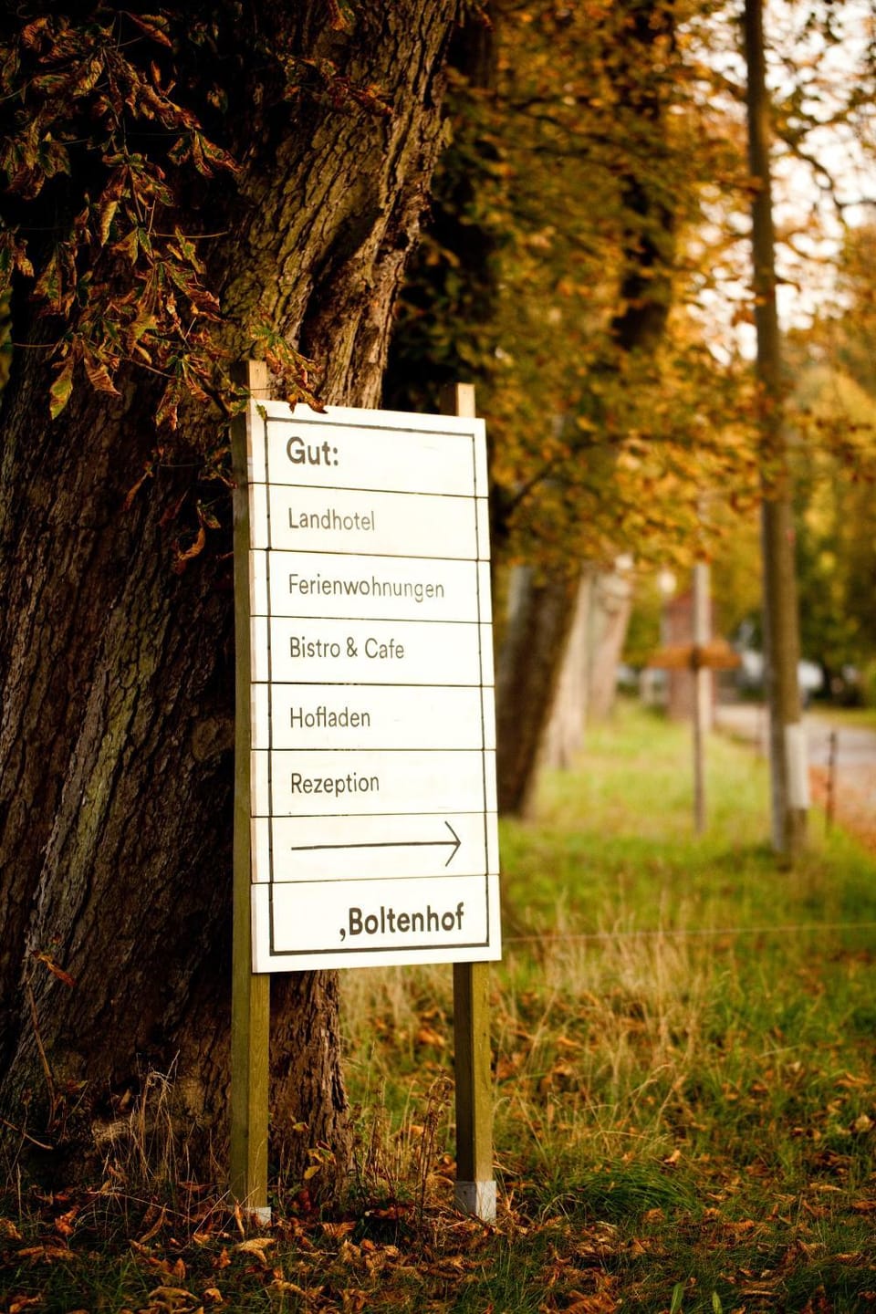 Property building, Area and facilities