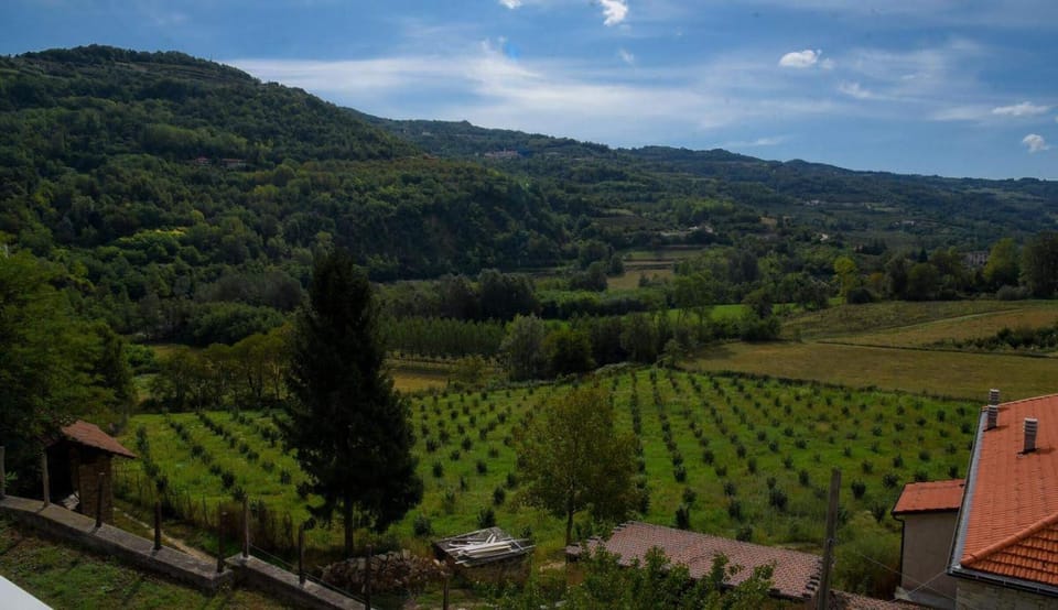 Neighbourhood, Natural landscape, Bird's eye view, Hiking, Garden view, Mountain view