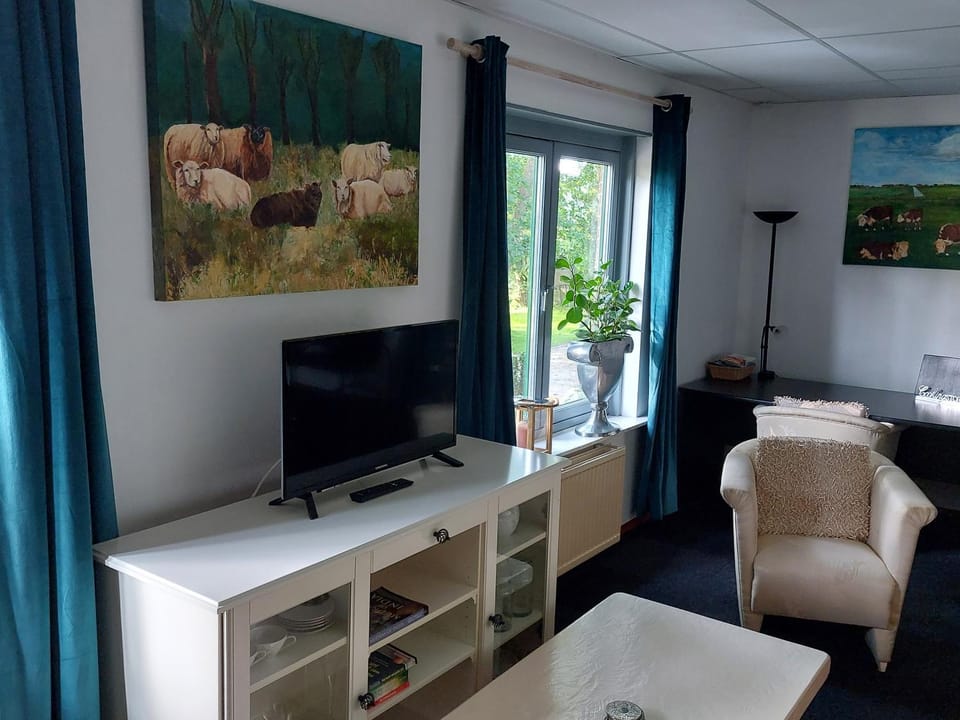 TV and multimedia