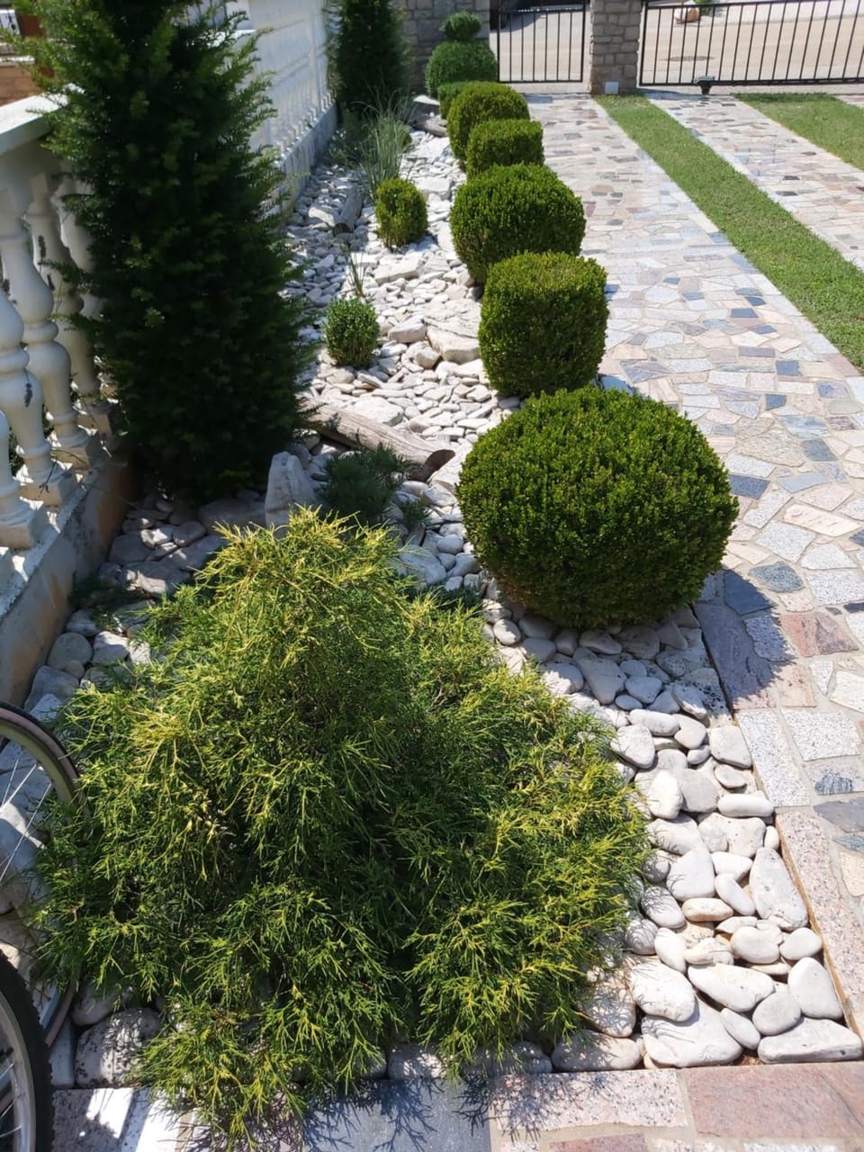 Garden, Garden, Garden view