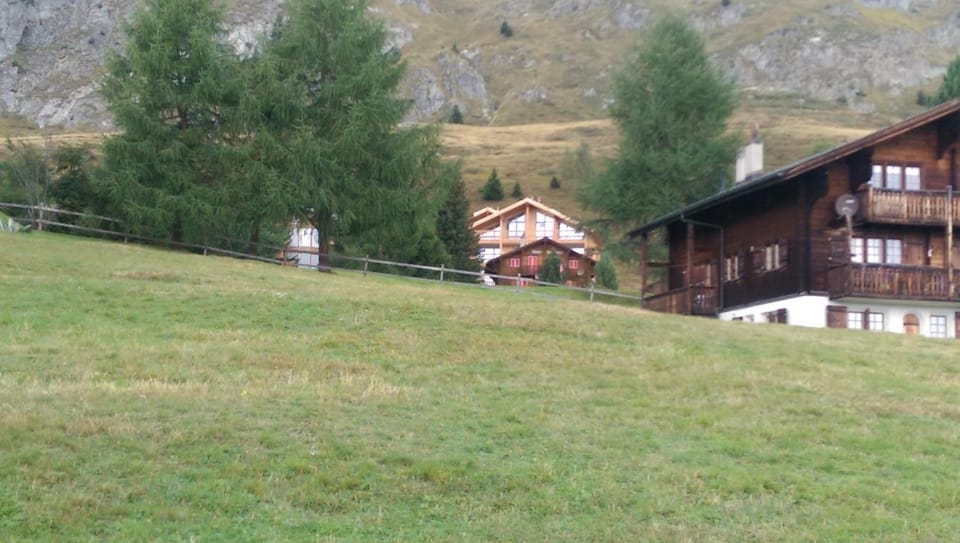 Natural landscape