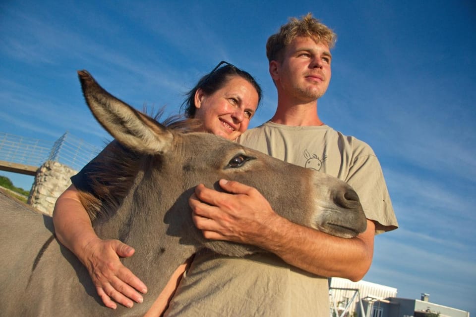 Animals, Family
