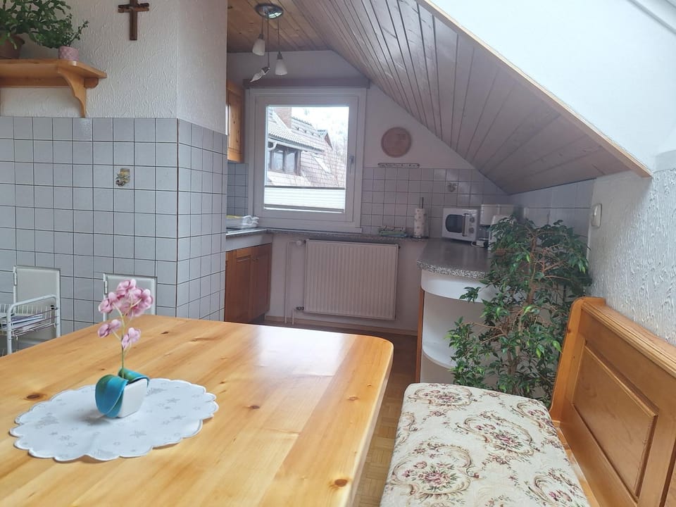 Kitchen or kitchenette, Dining area