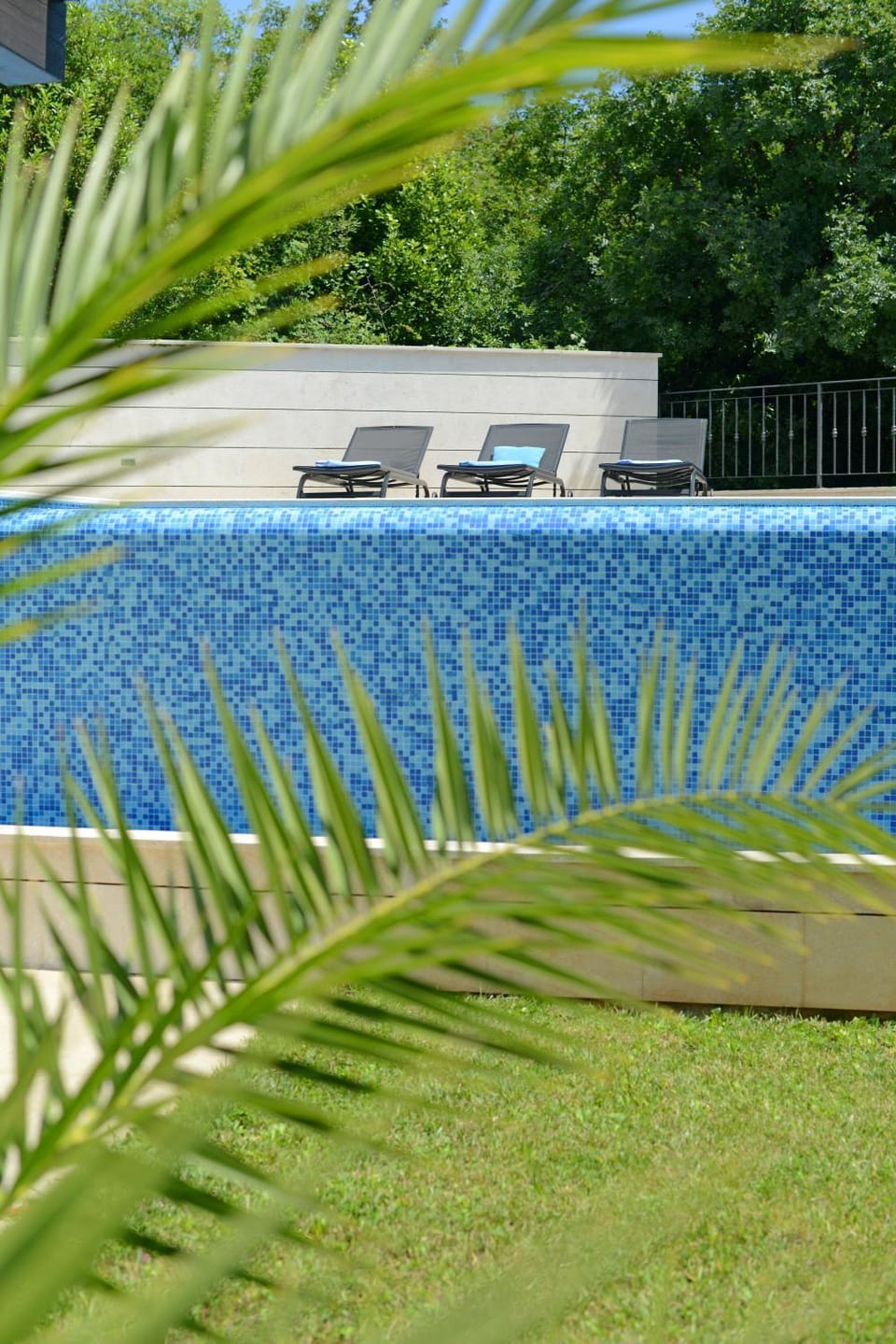 Spring, Day, Garden, Garden view, Pool view, Swimming pool, sunbed