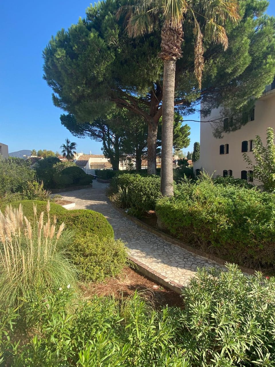 Garden view