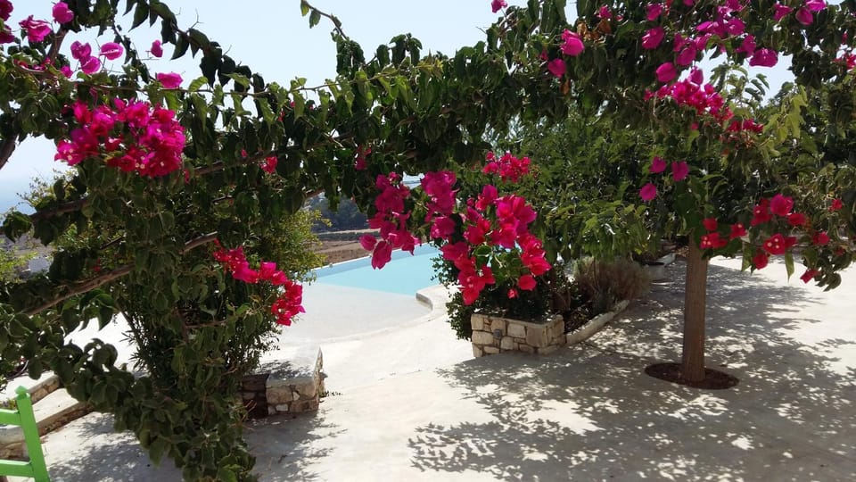 Garden view, Swimming pool